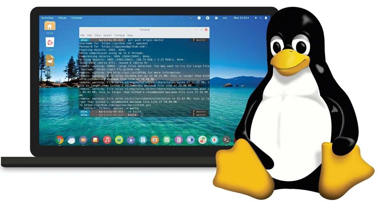 Linux project screenshot